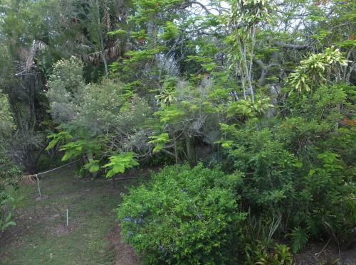 Torquay Terrace Bed & Breakfast