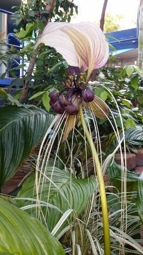 Albergue Reef Lodge Backpackers