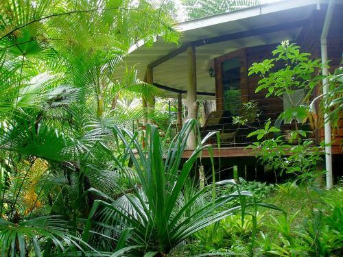 Lodge Mt Warning Rainforest Retreat