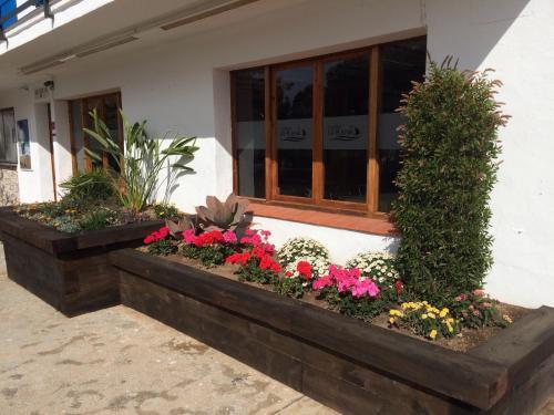 Apartamento Camping La Plana
