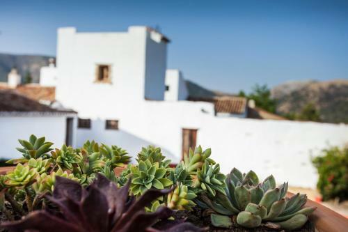Agroturismo Algaba De Ronda