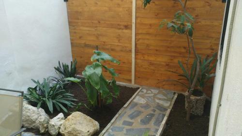 Apartamentos Fernando El Catolico