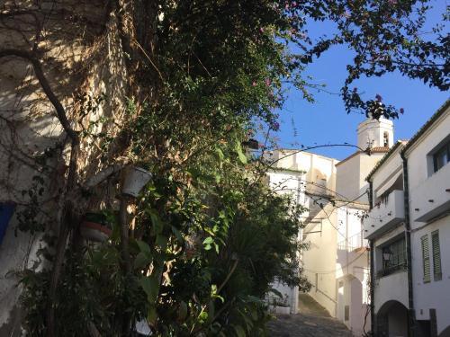 Apartamento Casa Del Pi