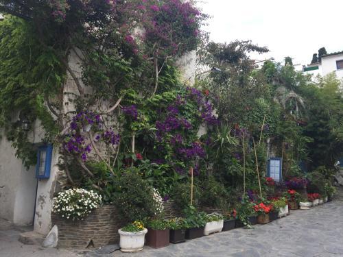 Apartamento Casa Del Pi
