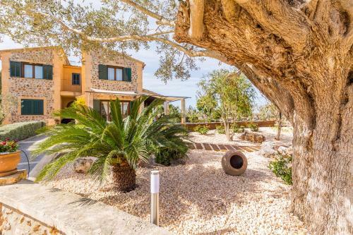 Villa Alfabia