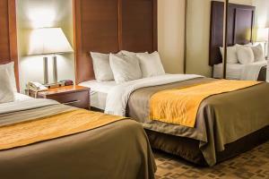 Hotel Comfort Inn
