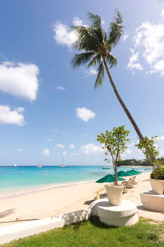 Hotel Treasure Beach Adults Only