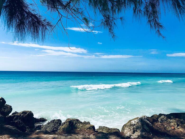 Hotel Divi Southwinds Beach Resort