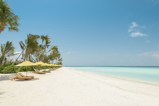 Hotel Dhigufaru Island Resort