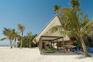 Hotel Dhigufaru Island Resort