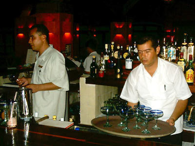 Hotel Costa Careyes (.)