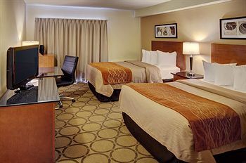 Hotel Comfort Inn (newmarket)