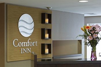 Hotel Comfort Inn (pickering)