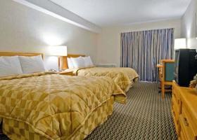 Hotel Comfort Inn Rock Forest