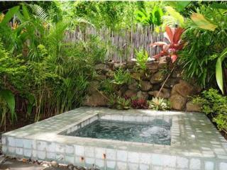 Hotel Qamea Resort  Spa