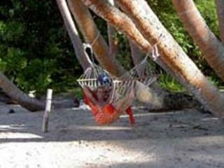 Hotel Dolphin Bay Divers Retreat