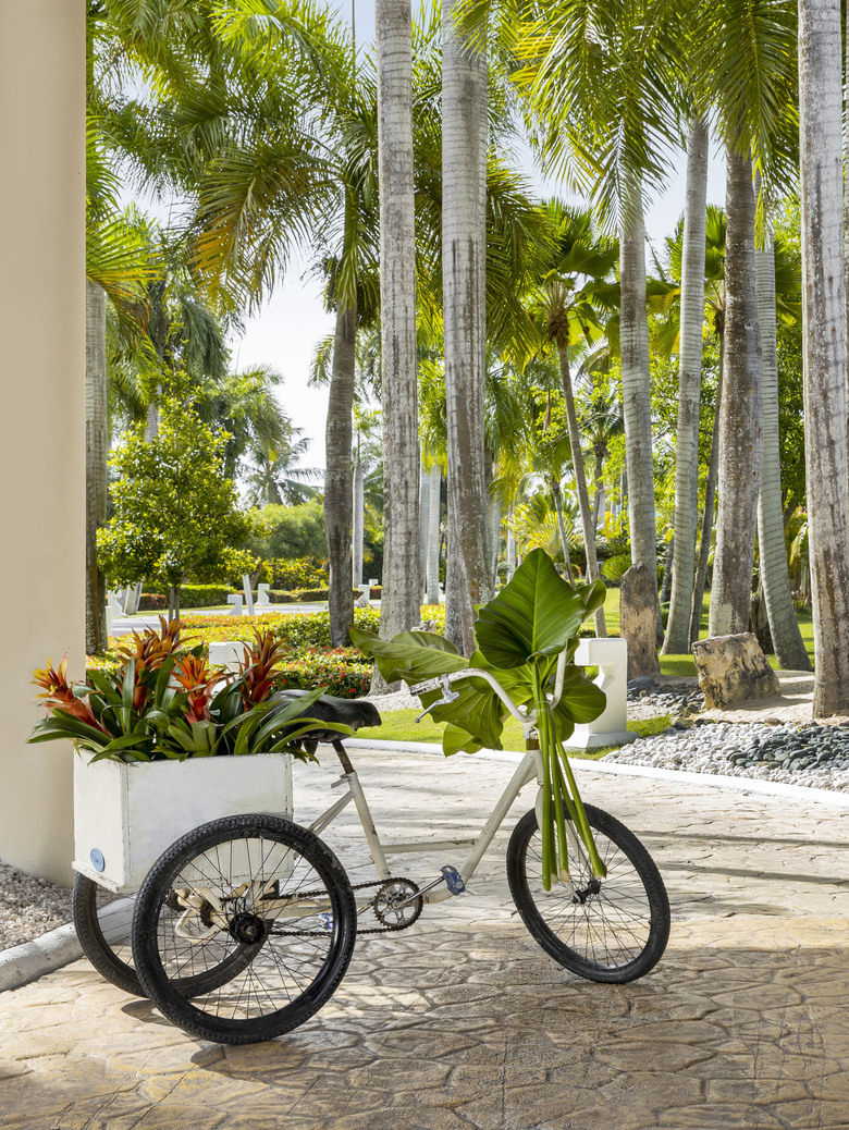 Hotel The Reserve At Paradisus Punta Cana