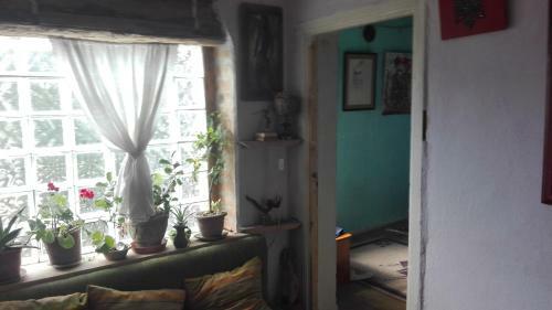 Hostal Guest House At Home