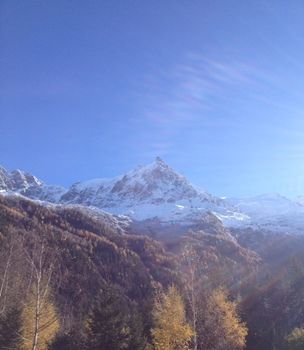 Hotel Park Suisse