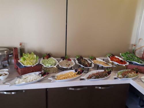 Areen Palace Hotel - Almadina Road
