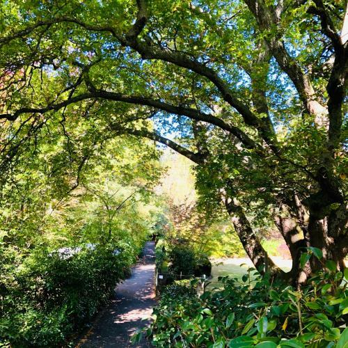 Aldgate Creek Cottage Bed And Breakfast