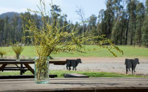 Bed & Breakfast Saladin Lodge