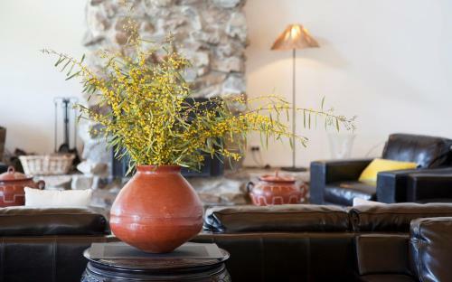 Bed & Breakfast Saladin Lodge