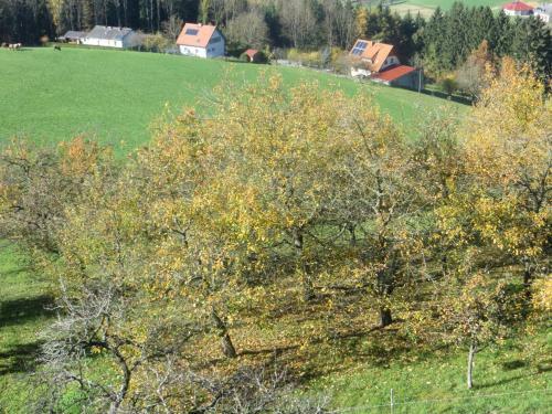Apartamento Ferienwohnungen Bauernhof Schilcher