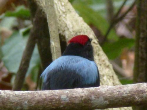 Bed & Breakfast Camping Castilletes Parque Tayrona