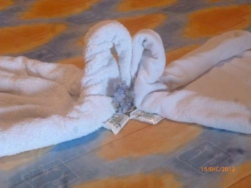 Hotel Establo Arenal