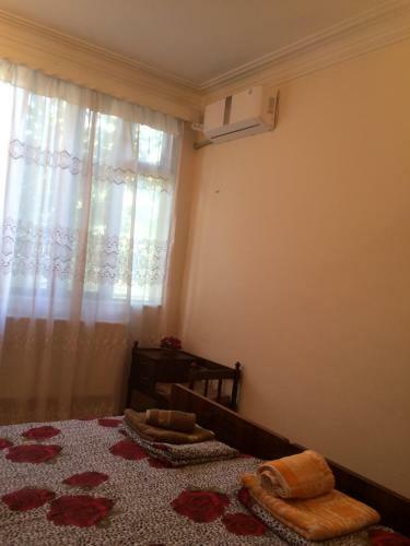 Albergue Alex's Cosy Guesthouse