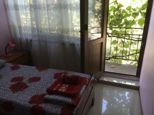Albergue Alex's Cosy Guesthouse
