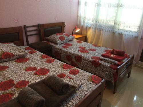 Albergue Alex's Cosy Guesthouse