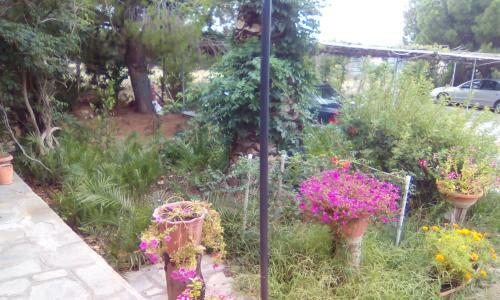 Alexandros Apartments