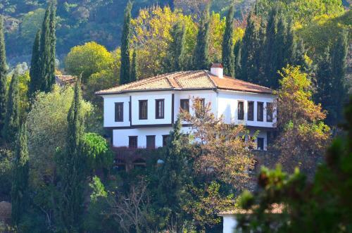Bed & Breakfast Nisanyan Hotel