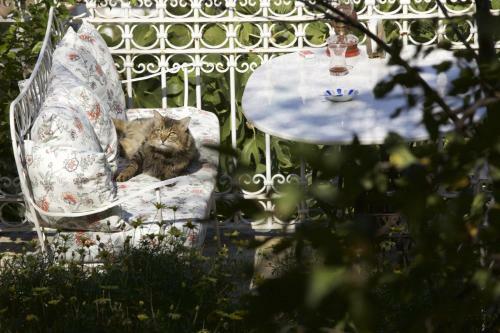 Bed & Breakfast Nisanyan Hotel
