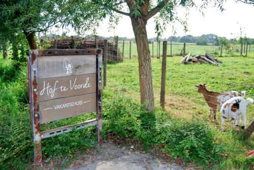 Vakantiehuis Hof Te Voorde