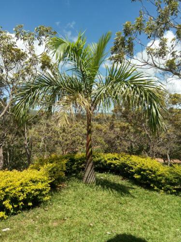 Fazenda Rosmaninho