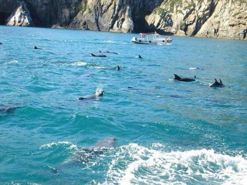 Apartamento Loft Prainha - Arraial Do Cabo