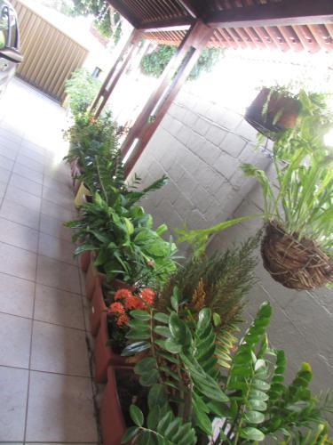 Hostal Pousada Zenite
