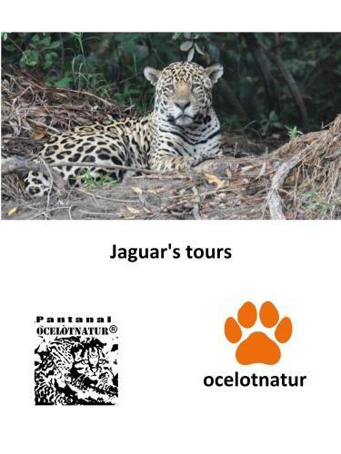 Pantanal Ocelotnatur Hotel