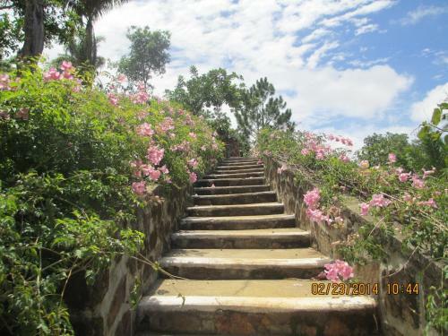 Hostal Pousada Caf� Do Brejo