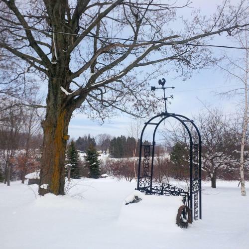 Picturesque School House Retreat