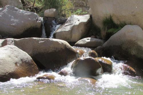 Agroturismo Caba�as Turisticas Gua�acagua Valle De Codpa