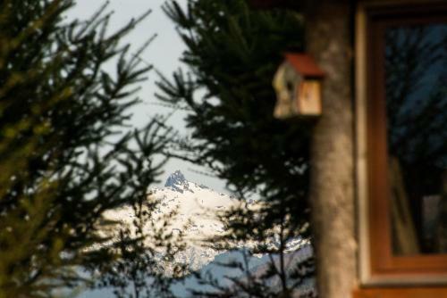 Lodge Complejo Tur�stico Ra�intu Epupillan