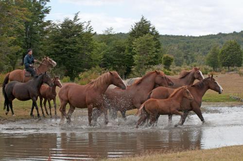 Agroturismo Estancia Mercedes