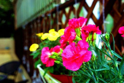 Shenzhen Xichong Story Hostel