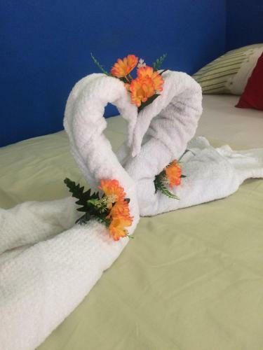 Hotel Cabinas Ole Caribe