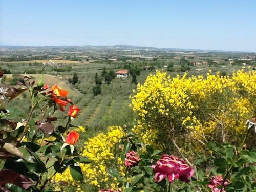 Agroturismo Agriturismo Montigliano