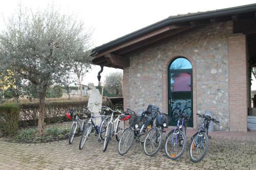 Bed & Breakfast Agriturismo Gaspari Farm